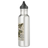 HAZ26 Amazonas-Gebiet 4.tif Edelstahlflasche (Rechts)