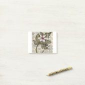 HAZ26 Amazonas-Gebiet 4.tif Post-it Klebezettel (Auf Schreibtisch)