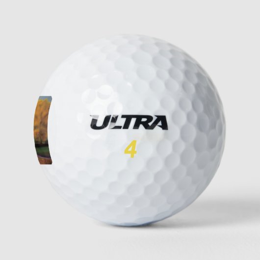HAZ90 Land.tif Golfball (Logo)