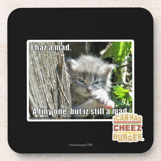 Haz I ein wütendes Getränkeuntersetzer (Vorderseite)