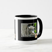 Haz I ein wütendes Tasse (VorderseiteRechts)