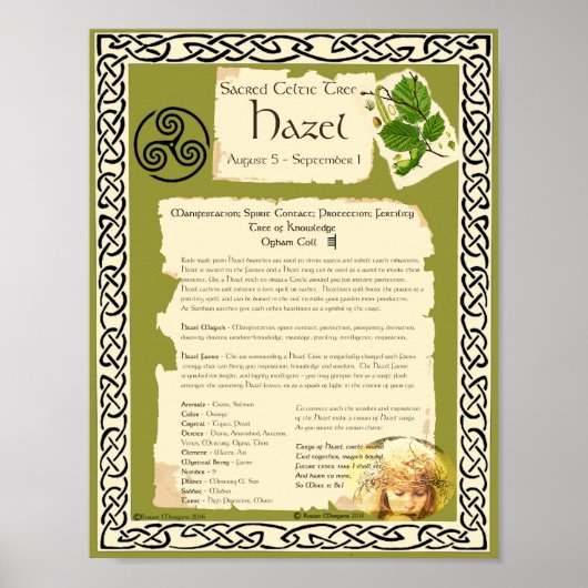 HAZEL CELTIC SACRED TREM POSTER (Vorne)
