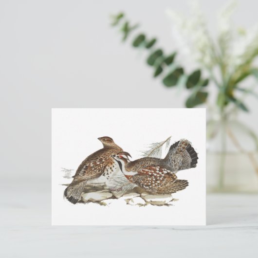 Hazel Grouse Postkarte (Stehend Vorderseite)