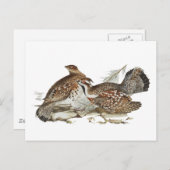 Hazel Grouse Postkarte (Vorne/Hinten)