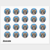 Hazel S Sticker (Blatt)
