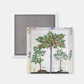 Hazelnut Bush und Cherry Magnet (Vorderseite/Rückseite)