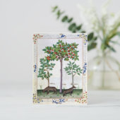 Hazelnut Bush und Cherry Postkarte (Stehend Vorderseite)