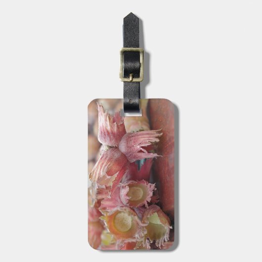 Hazelnuts.JPG Gepäckanhänger (Vorderseite vertikal)