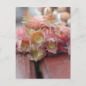 Hazelnuts.JPG Postkarte (Vorderseite)