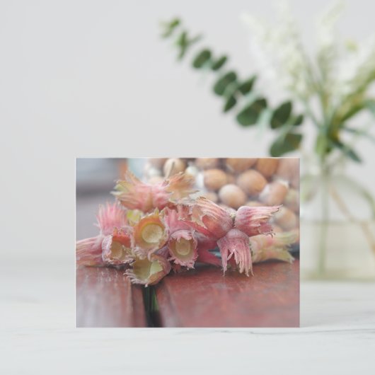 Hazelnuts.JPG Postkarte (Stehend Vorderseite)