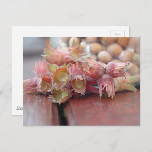 Hazelnuts.JPG Postkarte (Vorne/Hinten)