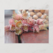 Hazelnuts.JPG Postkarte (Vorderseite)