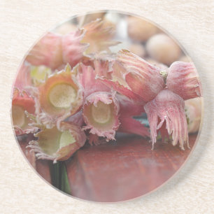 Hazelnuts.JPG Sandstein Untersetzer