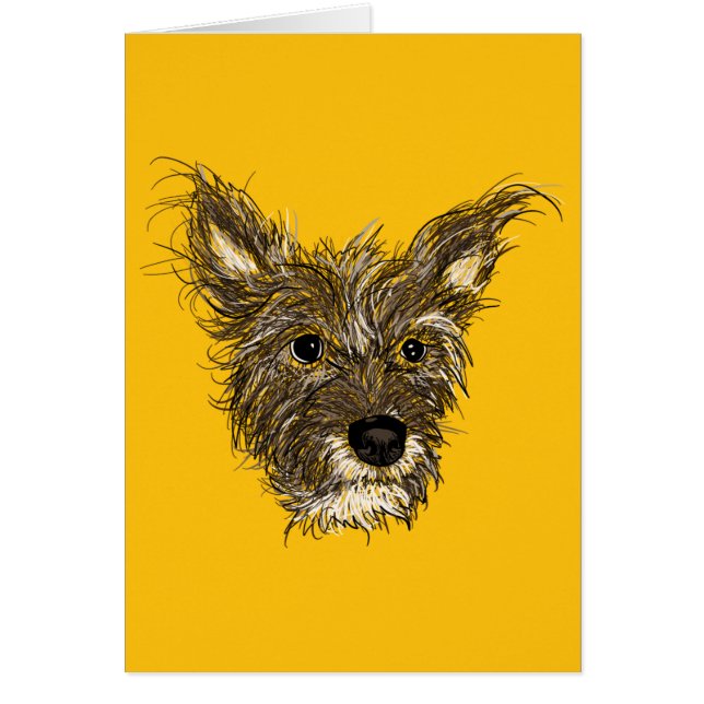 haziehunde (Vorne)