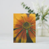 Hazy Daisy Postkarte (Stehend Vorderseite)