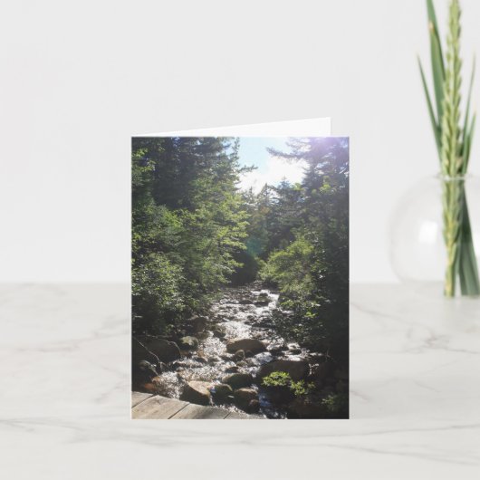 Hazy Sun on Forest Brook Note Card Dankeskarte (Vorderseite)