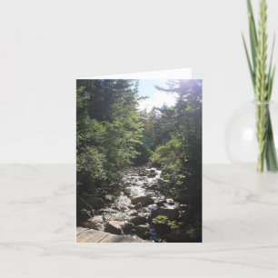 Hazy Sun on Forest Brook Note Card Dankeskarte