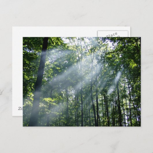 Hazy Tranquility Postkarte (Vorne/Hinten)