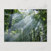 Hazy Tranquility Postkarte (Vorderseite)