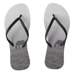 Hazzy Grazing Badesandalen