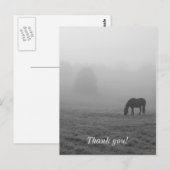 Hazzy Grazing Graustufen Postkarte (Vorne/Hinten)