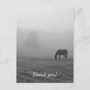 Hazzy Grazing Graustufen Postkarte