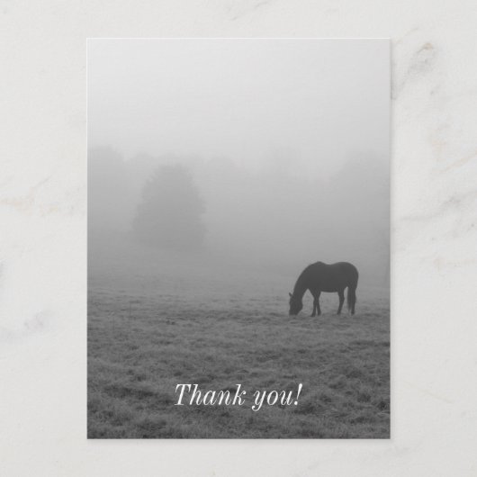 Hazzy Grazing Graustufen Postkarte (Vorderseite)