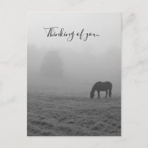 Hazzy Grazing Grayscale Denken Sie über Ihre Postk Postkarte