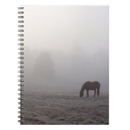 Hazzy Grazing Notizblock (Vorderseite)