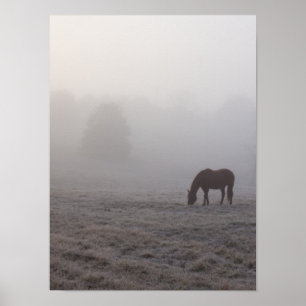 Hazzy Grazing Poster