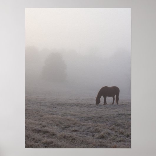 Hazzy Grazing Poster (Vorne)