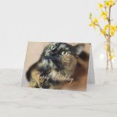 HBD-Tazzie 9055 Karte (Gelbe Blume)