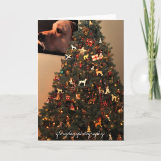 HCD_2846, Glorydaysphotographie Feiertagskarte