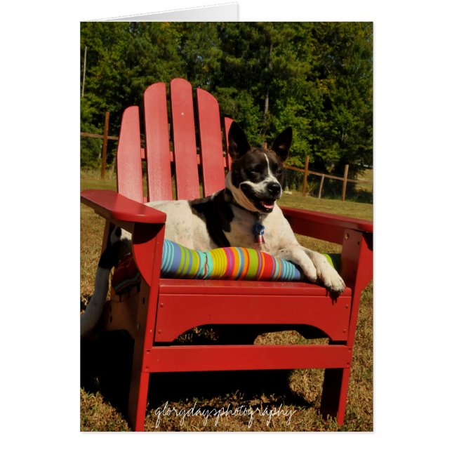 HCD_4301, glorydaysphotography (Vorne)