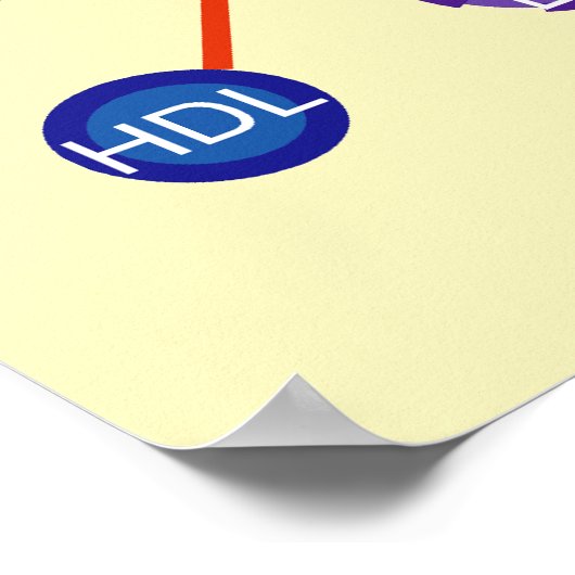 HDL-Diagramm mit hoher Dichte Lipoprotein Poster (Ecke)