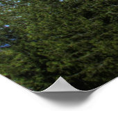 HDR-Druck mit der Schrift Verse Poster (Ecke)