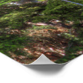 HDR-Folie aus Rainier, Druck mit Scripture Verse Poster (Ecke)