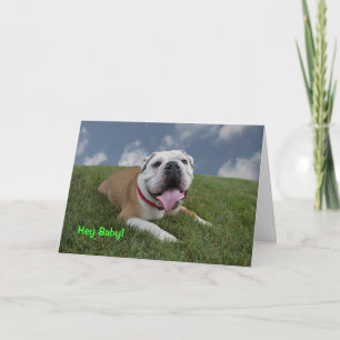 He Baby! Bulldoggen-Geburtstags-Karte Karte