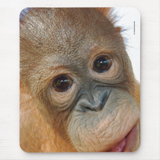 He, bin ich ein niedliches Orang-Utan Foto Mousepad (Vorne)