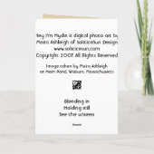 He bin ich Hydin Karte (Rückseite)