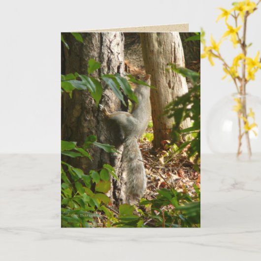 He bin ich Hydin Karte (Gelbe Blume)