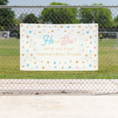 He or She Stars Gender Reveal backdrop Banner (Insitu)