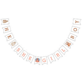 He She Girl Boy Gender Reveal Banner