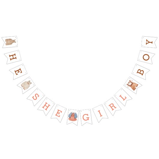 He She Girl Boy Gender Reveal Banner (Alle)