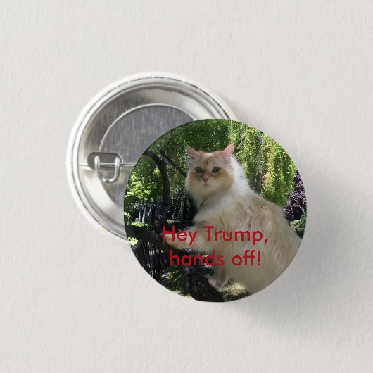 He Trumpf, Hände weg! Button (Vorne & Hinten)