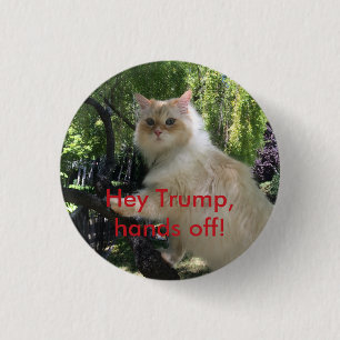 He Trumpf, Hände weg! Button