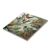 Heackel Nature Art Bird Design Hummingbirds Fliese (Seite)