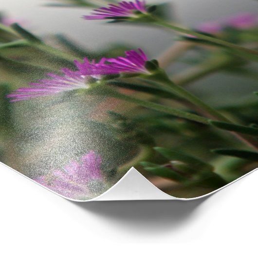 Head First Hummingbird Fotodruck (Ecke)