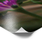 Head First Hummingbird Fotodruck (Ecke)