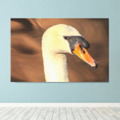 Head Mute Swan Portrait Leinwanddruck (Insitu (Holzboden))